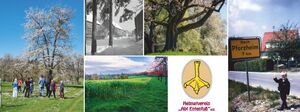 Kieselbronner Fotografen sehen ihren Ort