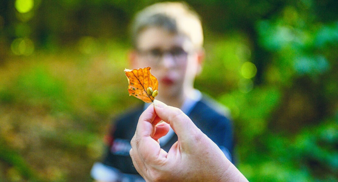 entdeckertour-tierspuren-in-burg-wald-und-wiese