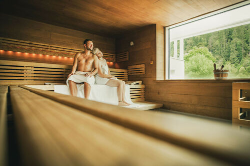 tag-der-sauna-in-der-sauna-pinea