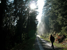 Geführte Wanderung