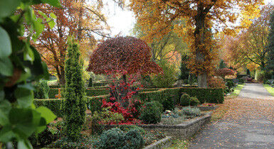 offentliche-fuhrung-historischer-friedhof