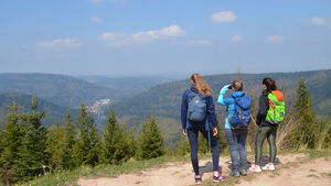 Geführte Wanderung | Oberes Gaistal - Furhmannsblick - Bad Herrenalb