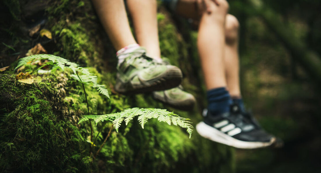 erlebniswanderung-durchs-wildromantische-monbachtal