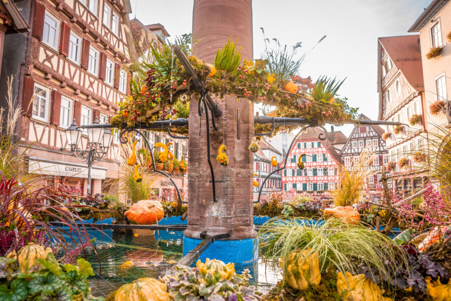 calwer-herbstzauber-verkaufsoffener-feiertag