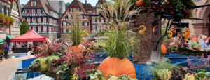Calwer Herbstzauber - Verkaufsoffener Feiertag