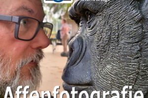 Sem Ich mach' mich nicht zum Affen