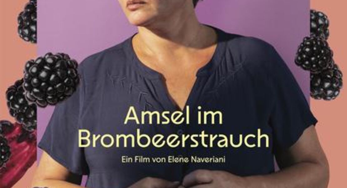 amsel-im-brombeerstrauch