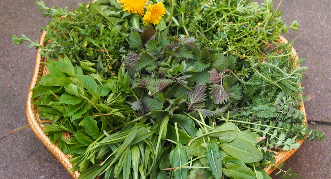 verfuhrungen-am-wegesrand-teil-2-unterwegs-auf-dem-wasser-wald-und-wiesenpfad