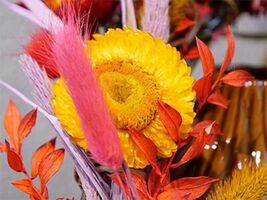 Flower-Loops - Indian Summer