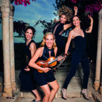 Salut Salon - Heimat