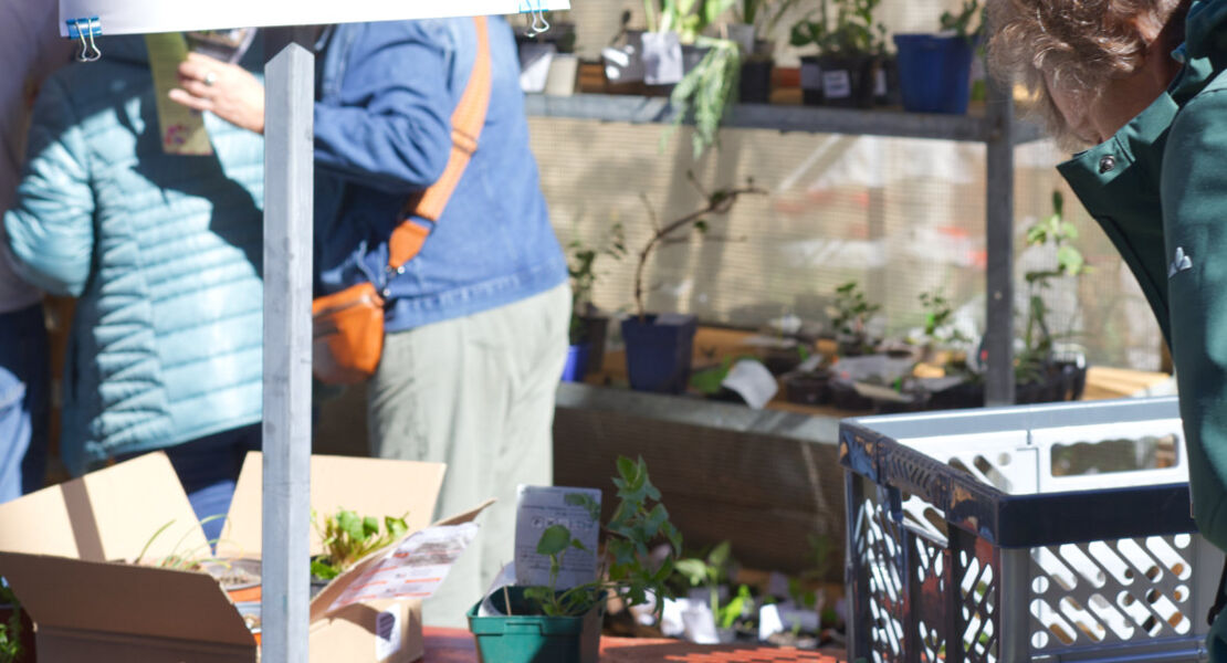 keimzeit-wachsen-erhalten