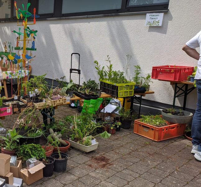 gesundheit-und-natur-mit-allen-sinnen
