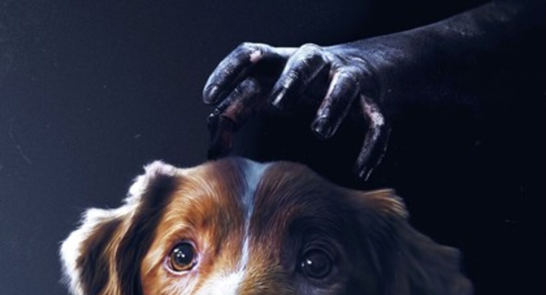 good-boy-trust-his-instincts