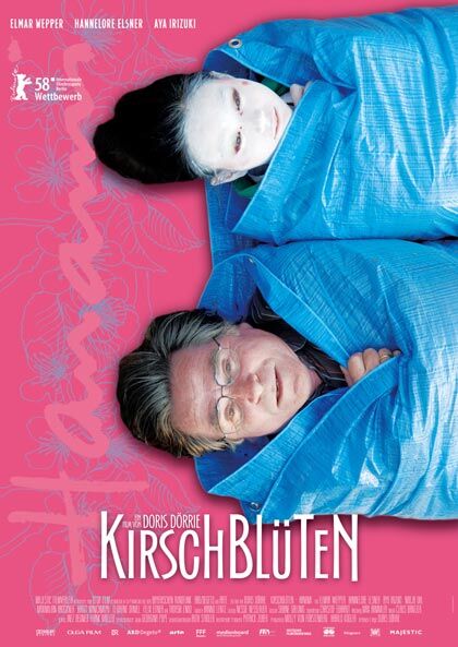 kirschbluten-hanami