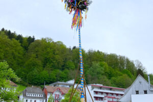 Traditionelles Maibaumstellen