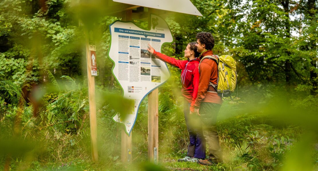 gefuhrte-wanderung-waldhistorischer-erlebnisweg