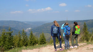 Geführte Wanderung | Bernbach - Sägberg - Kieferhütte - Frauenalb