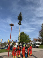 Maifest mit Maibaumstellen
