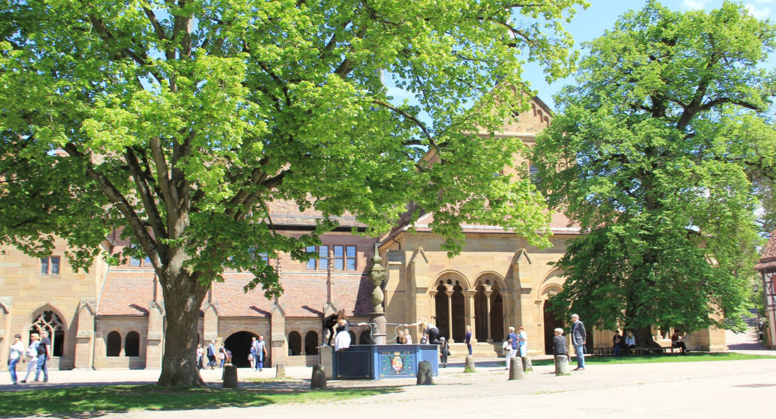 kloster-kinder-welterbe-familientag-in-maulbronn