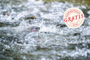 Naturerlebniswanderung Lachspfad