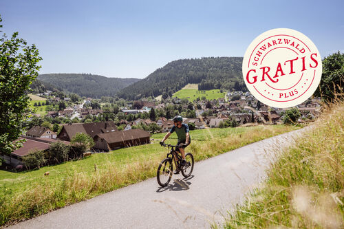 mountainbike-und-gartenschau