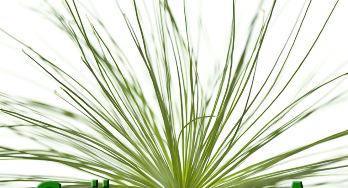 ws-faszination-grunzeug-a