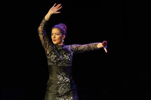 mi-mundo-flamenco