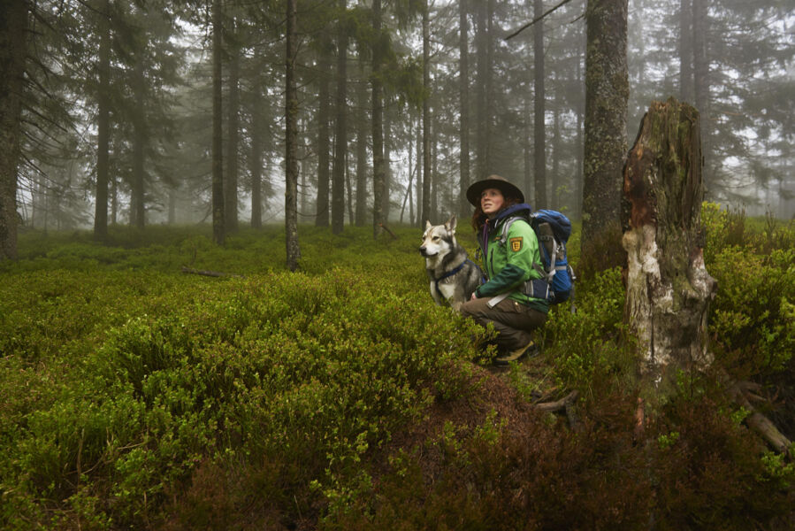 world-ranger-day