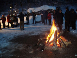 Waldweihnacht auf der Erdbeerplatte