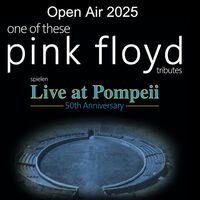 One Of These Pink Floyd Tributes - Live at Pompeii