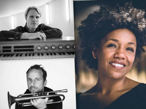 the-art-of-trio-fola-dada-martin-meixner-und-joo-kraus