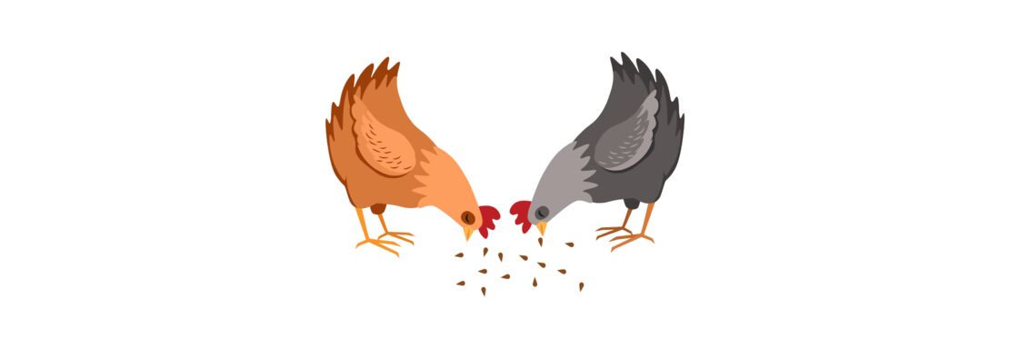 lokalschau