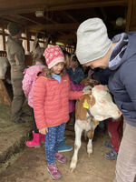 „Biodynamische Landwirtschaft – Was steckt dahinter?“