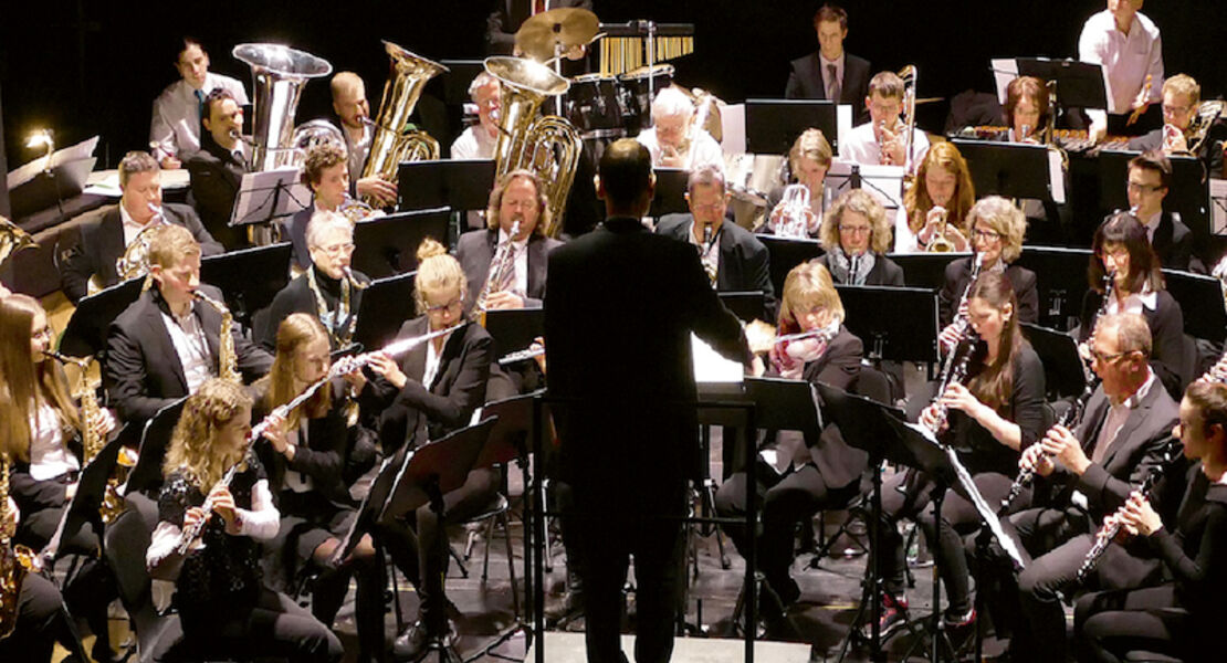 bwlv-benefizkonzert-luv-lee