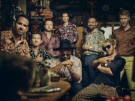 FATCAT - Funk, Soul & Disco-Pop in Hochform | Open Air