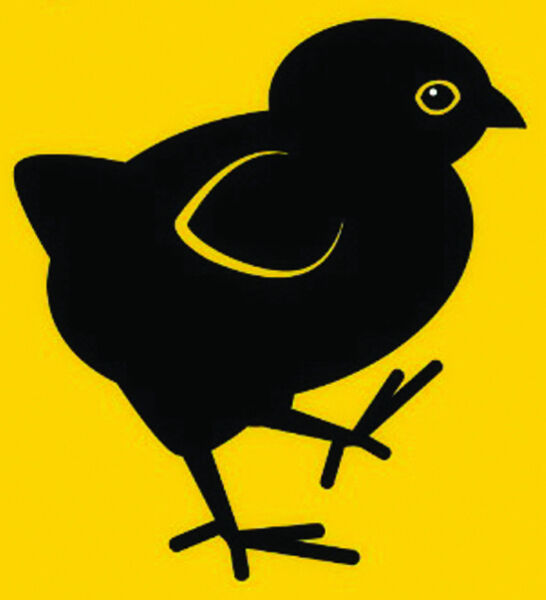 aus-dem-stiefel-fertig-los