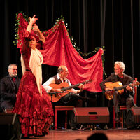 Fiesta Flamenca 2024 - Flamencotanz und Tapas