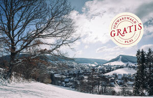 Wanderung im Winterwald Mitteltal bis Baiersbronn