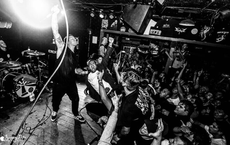 comeback-kid-avocado-booking-prasentiert