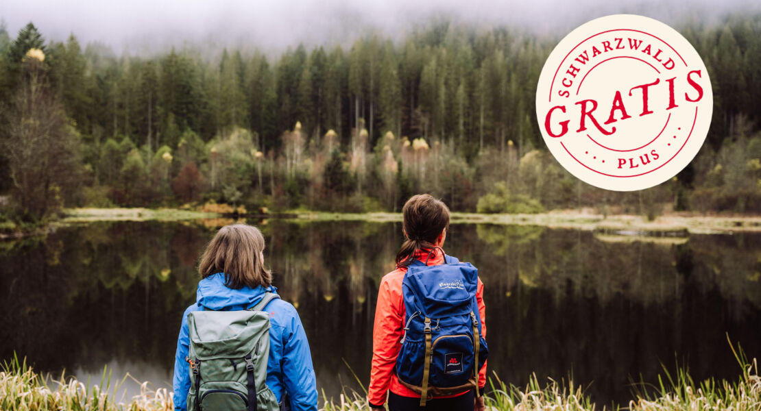 naturerlebniswanderung-zum-idyllischen-sankenbachsee