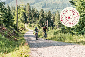 Ferientour auf Trails und Forstwegen