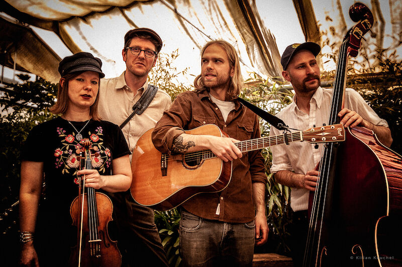 the-see-see-riders-blues-roots-strings