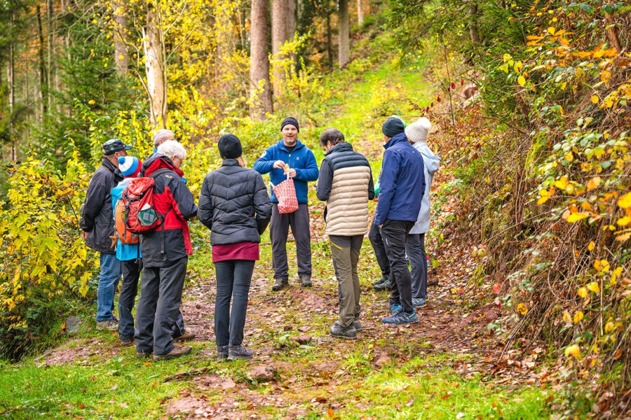 geotour-calw