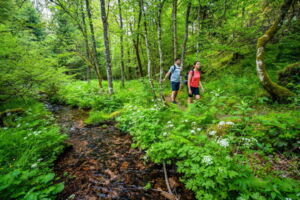 2. Globetrotter Wandertage Schwarzwald: Wanderung 