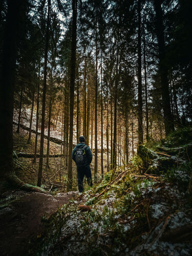 geotour-bad-teinach-mit-schwarzwaldguide-nicolai-stotz