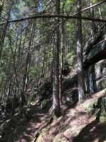 2. Globetrotter Wandertage Schwarzwald: Wanderung 