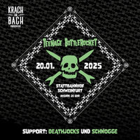 Teenage Bottlerocket - support: Deathjocks + Schnogge