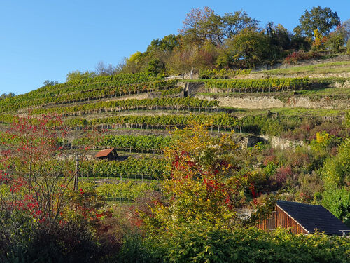 walder-wiesen-wasser-werkstein-und-wein