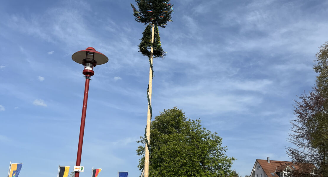 maifest-mit-maibaumstellen