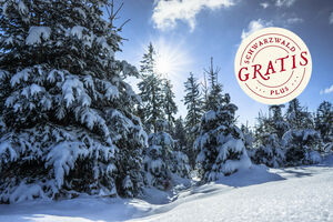 Wanderung im Winterwald Tonbachtal